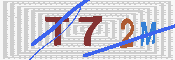 CAPTCHA Resmi